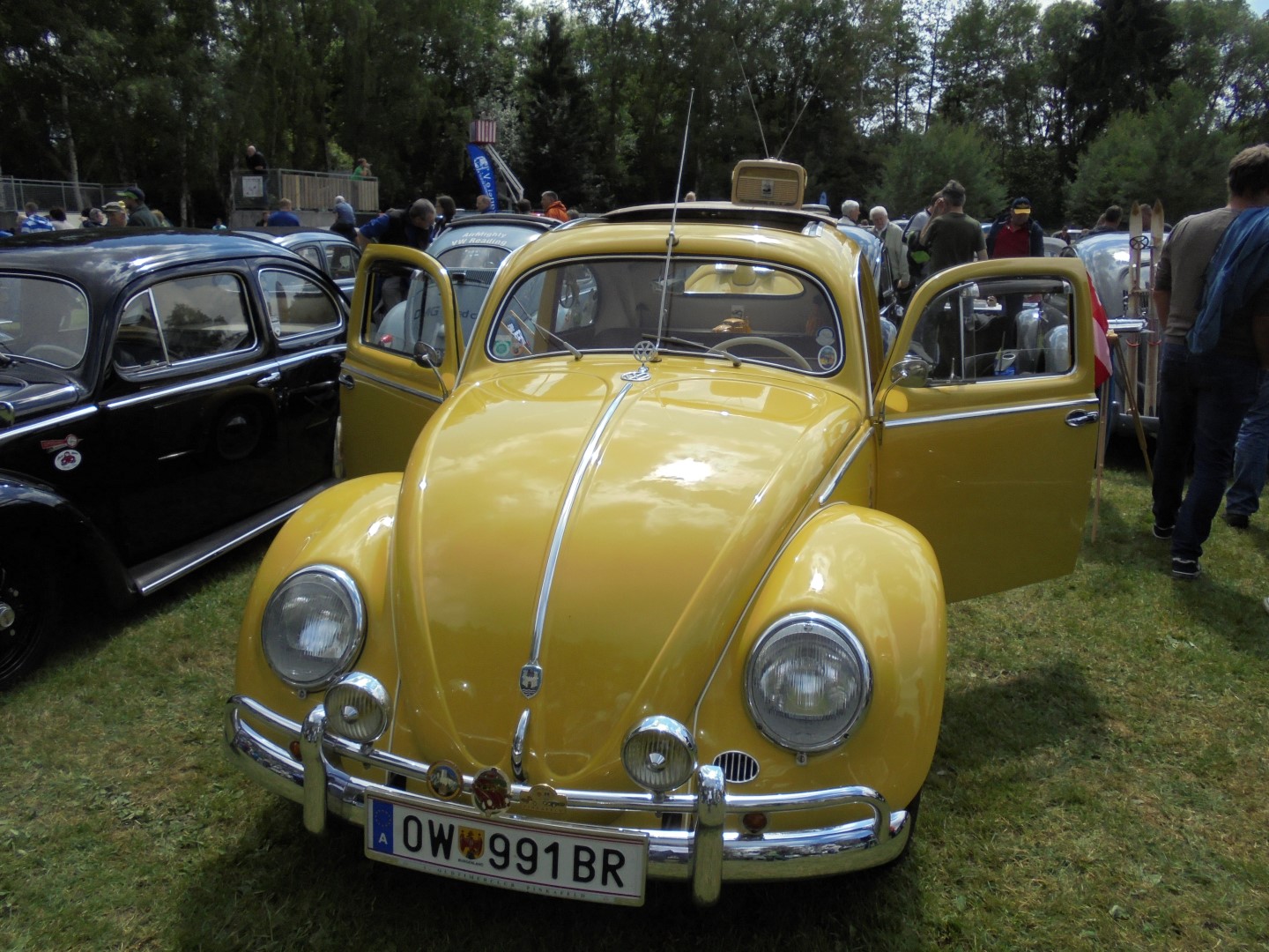 2015-06-19 bis 20 VW-Kfertreffen Bad Camberg